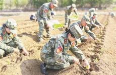 云南省劍川縣：民兵深入田間地頭助力春耕生產