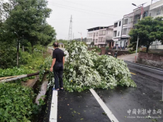 常寧市羅橋鎮(zhèn)：清理殘枝斷樹 消除安全隱患